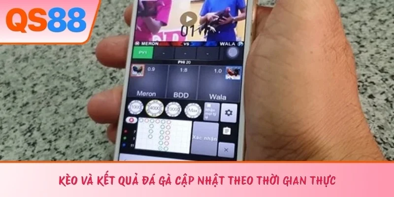Kèo và kết quả đá gà cập nhật theo thời gian thực